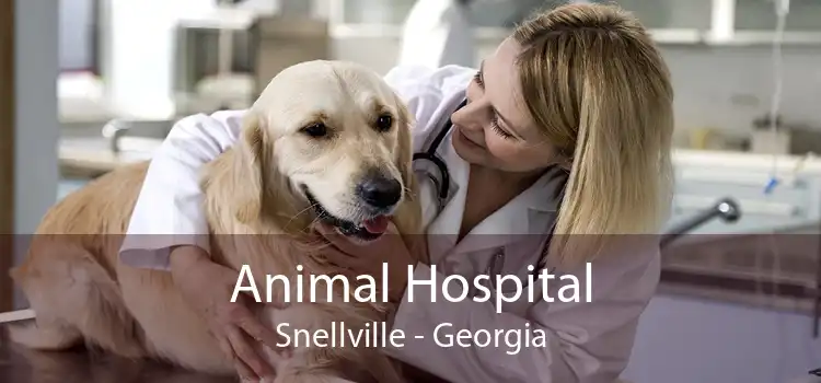 Animal Hospital Snellville - Georgia