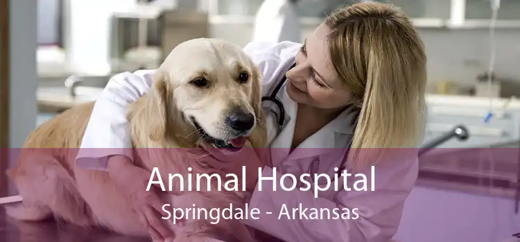 Animal Hospital Springdale - Arkansas