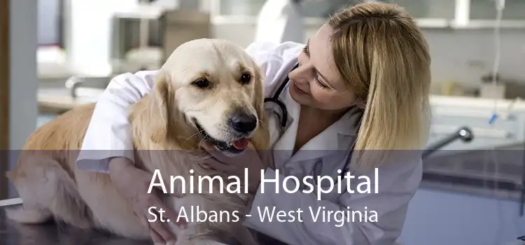 Animal Hospital St. Albans - West Virginia