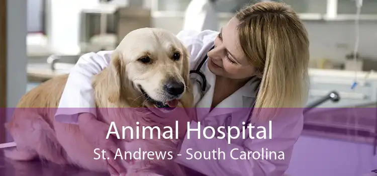 Animal Hospital St. Andrews - South Carolina