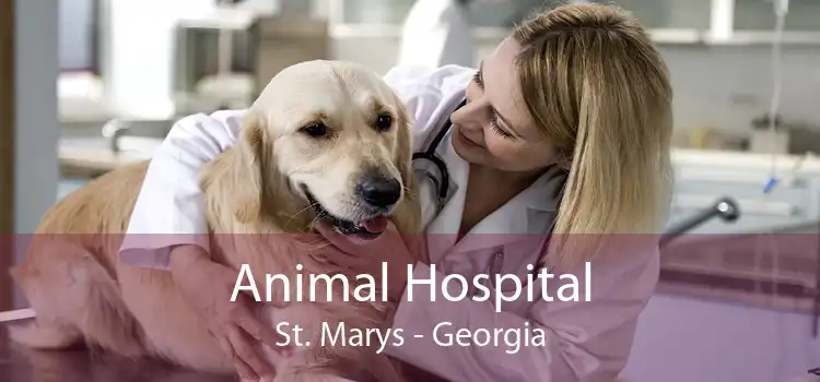 Animal Hospital St. Marys - Georgia