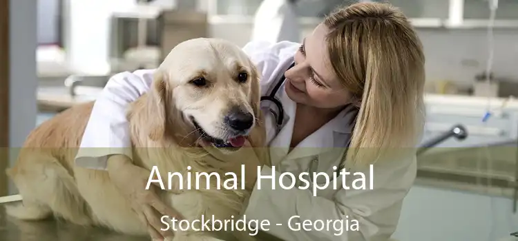 Animal Hospital Stockbridge - Georgia