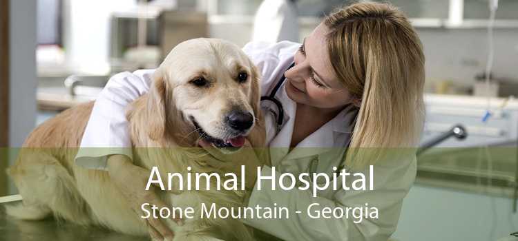 Animal Hospital Stone Mountain - Georgia