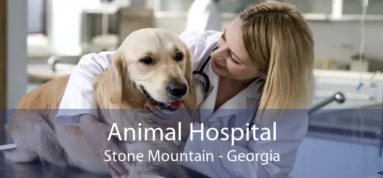 Animal Hospital Stone Mountain - Georgia