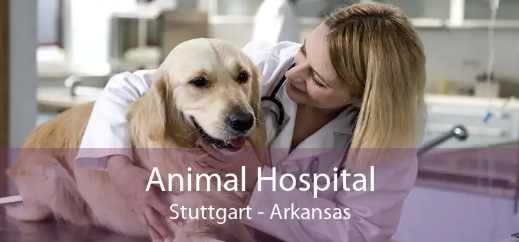 Animal Hospital Stuttgart - Arkansas