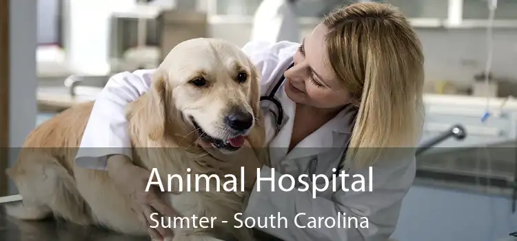 Animal Hospital Sumter - South Carolina