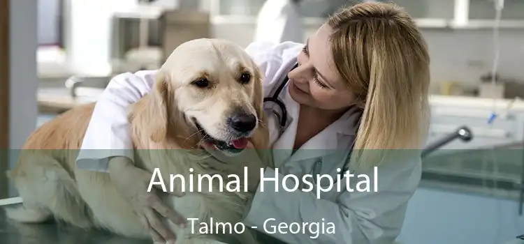 Animal Hospital Talmo - Georgia