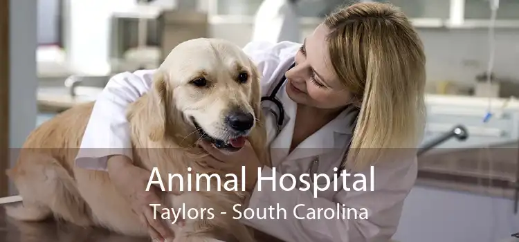 Animal Hospital Taylors - South Carolina