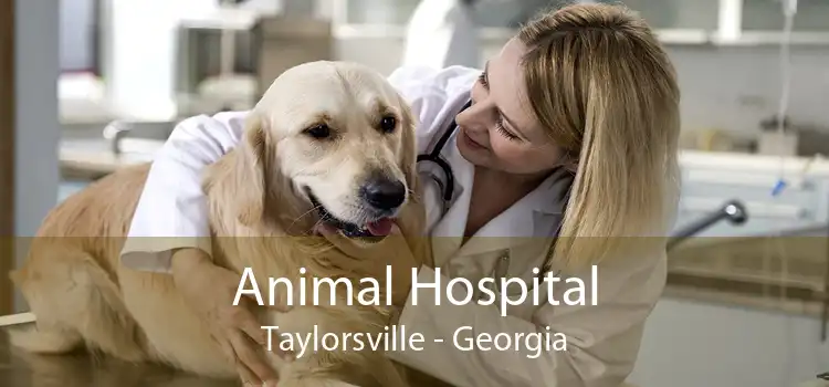 Animal Hospital Taylorsville - Georgia