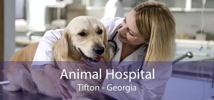Animal Hospital Tifton - Georgia