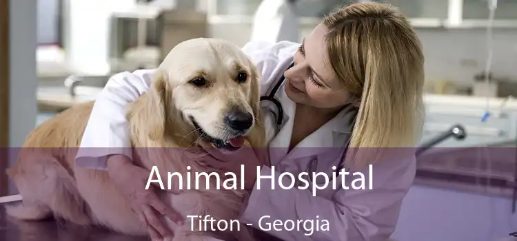 Animal Hospital Tifton - Georgia