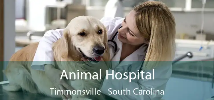 Animal Hospital Timmonsville - South Carolina