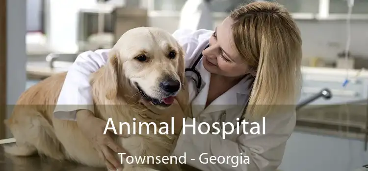 Animal Hospital Townsend - Georgia