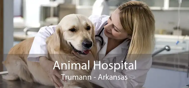 Animal Hospital Trumann - Arkansas