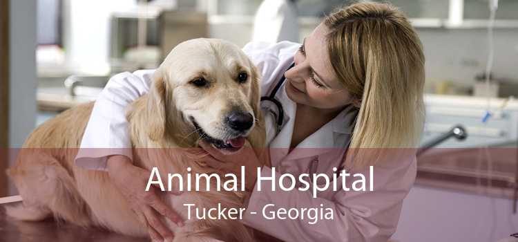 Animal Hospital Tucker - Georgia