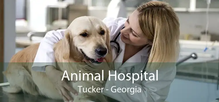 Animal Hospital Tucker - Georgia