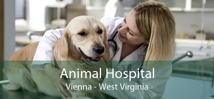 Animal Hospital Vienna - West Virginia
