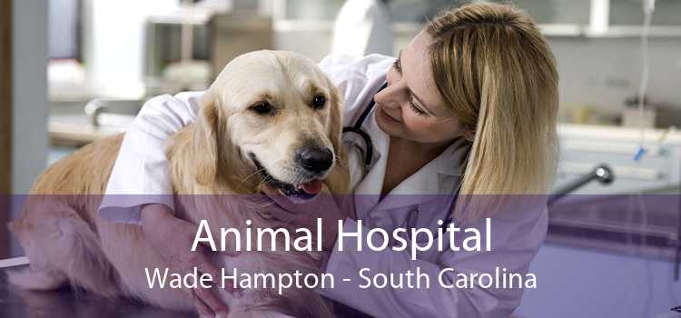 Animal Hospital Wade Hampton - South Carolina