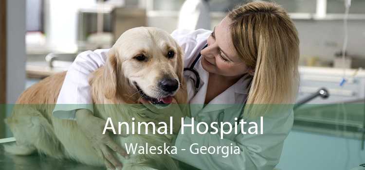Animal Hospital Waleska - Georgia