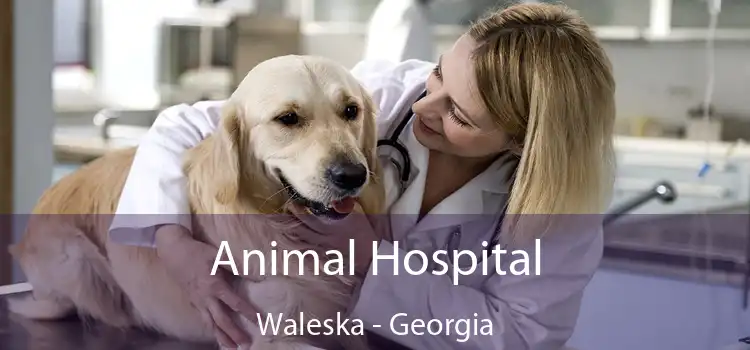 Animal Hospital Waleska - Georgia