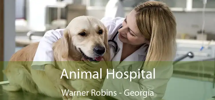 Animal Hospital Warner Robins - Georgia