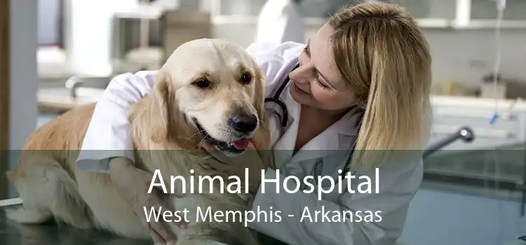 Animal Hospital West Memphis - Arkansas