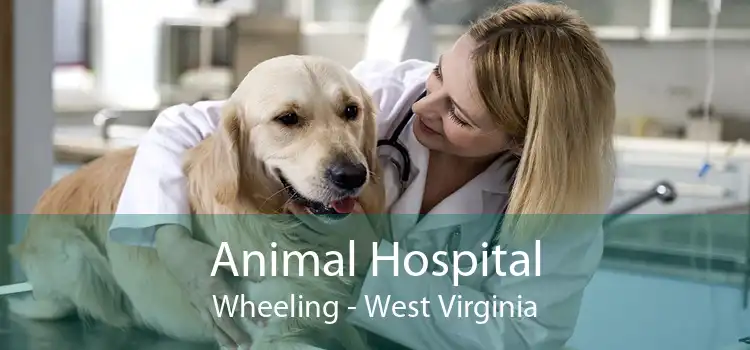 Animal Hospital Wheeling - West Virginia