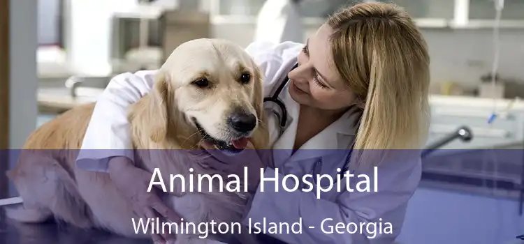 Animal Hospital Wilmington Island - Georgia