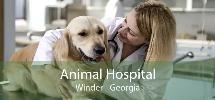 Animal Hospital Winder - Georgia