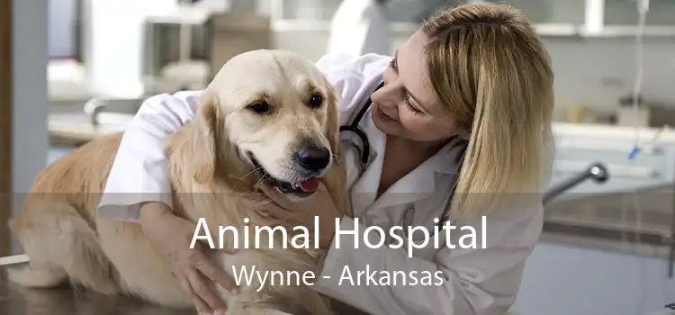 Animal Hospital Wynne - Arkansas