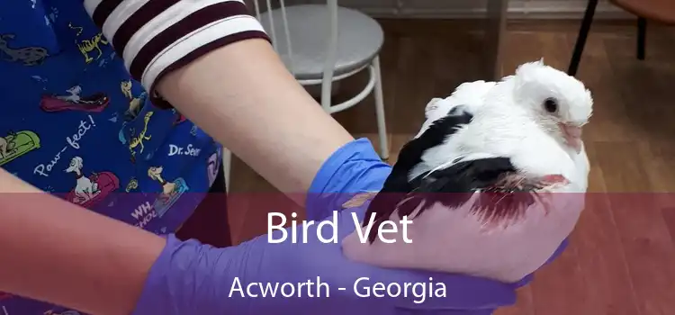 Bird Vet Acworth - Georgia