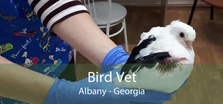 Bird Vet Albany - Georgia