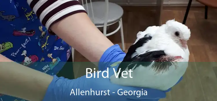 Bird Vet Allenhurst - Georgia