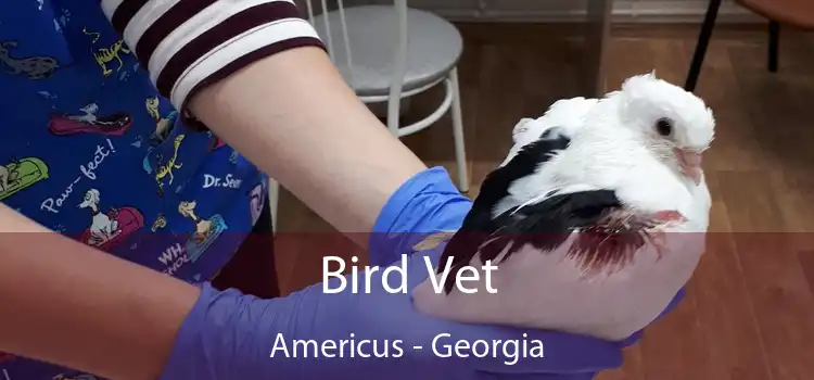 Bird Vet Americus - Georgia