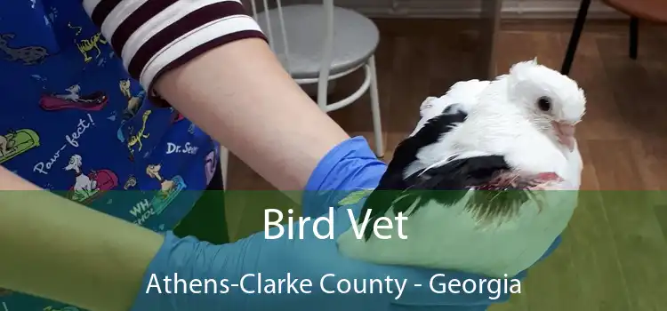 Bird Vet Athens-Clarke County - Georgia