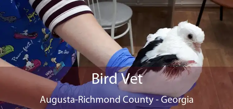 Bird Vet Augusta-Richmond County - Georgia