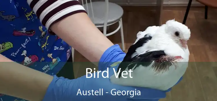 Bird Vet Austell - Georgia