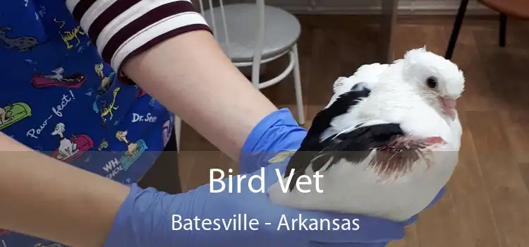 Bird Vet Batesville - Arkansas