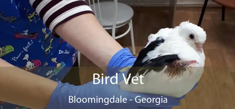 Bird Vet Bloomingdale - Georgia