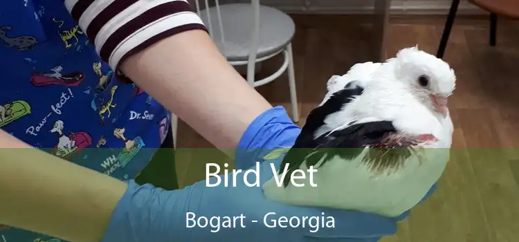 Bird Vet Bogart - Georgia