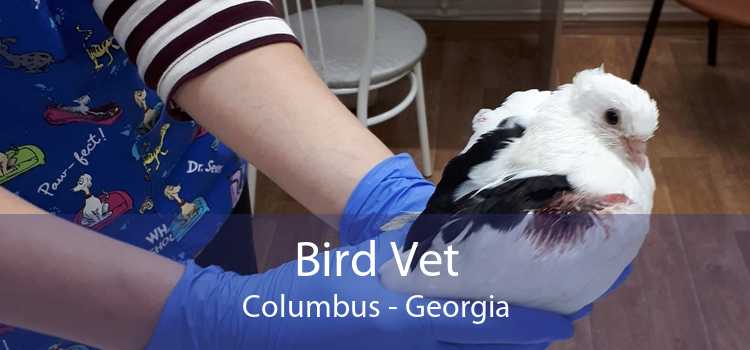 Bird Vet Columbus - Georgia