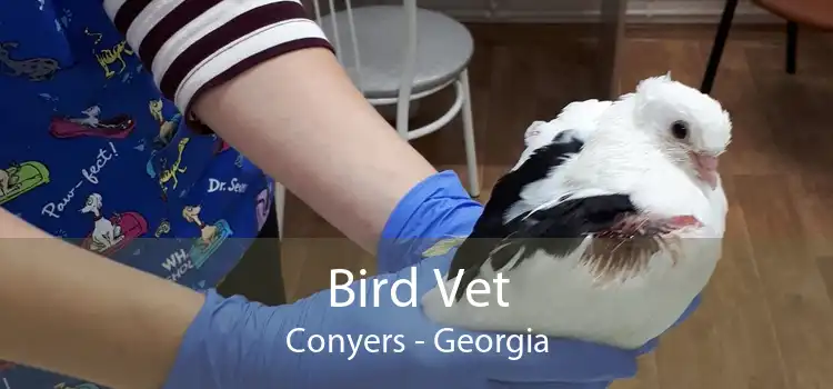 Bird Vet Conyers - Georgia