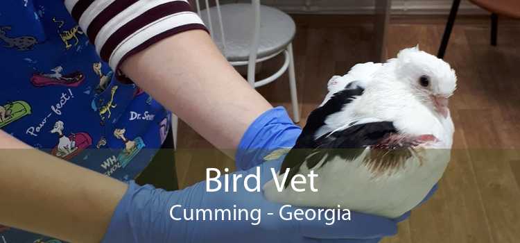 Bird Vet Cumming - Georgia