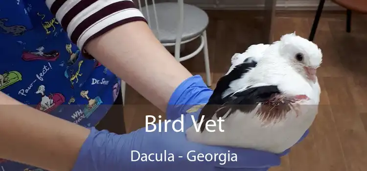 Bird Vet Dacula - Georgia