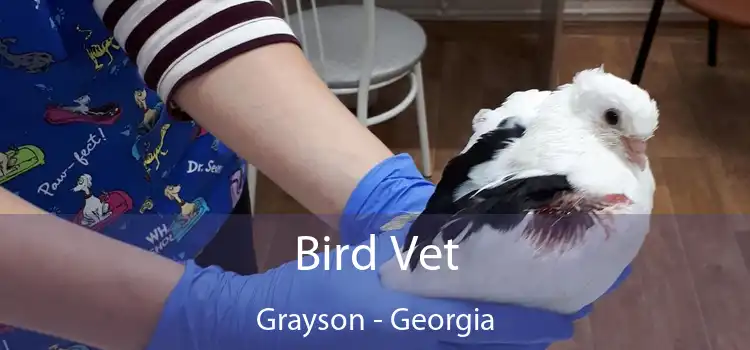 Bird Vet Grayson - Georgia