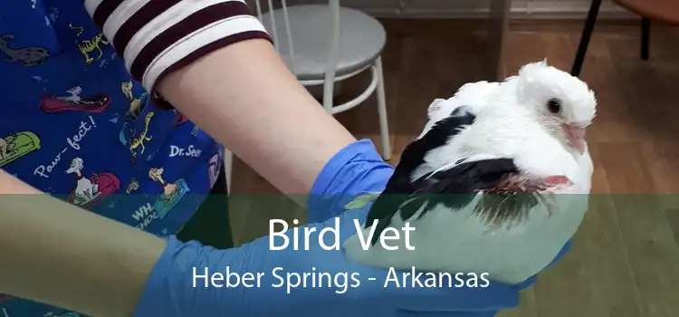 Bird Vet Heber Springs - Arkansas