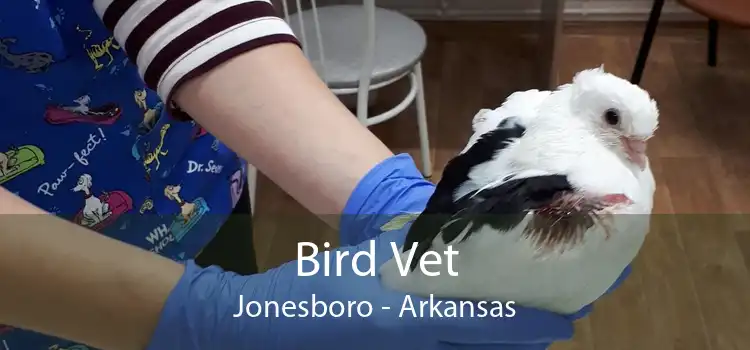 Bird Vet Jonesboro - Arkansas