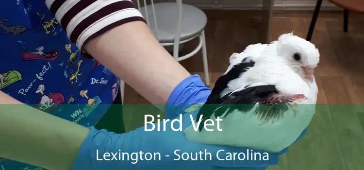 Bird Vet Lexington - South Carolina