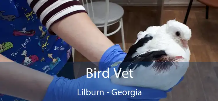 Bird Vet Lilburn - Georgia