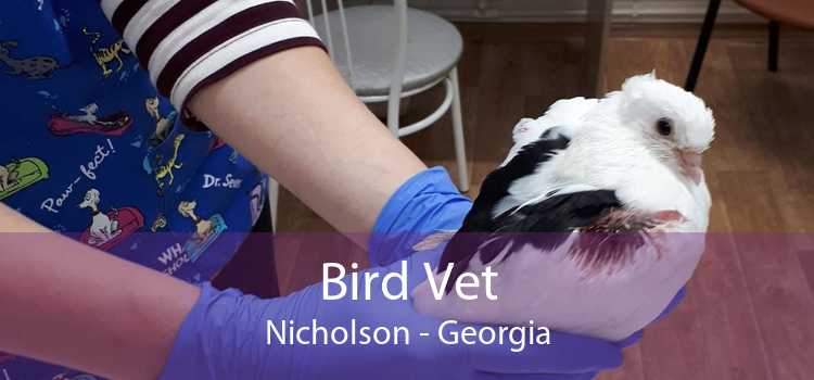 Bird Vet Nicholson - Georgia